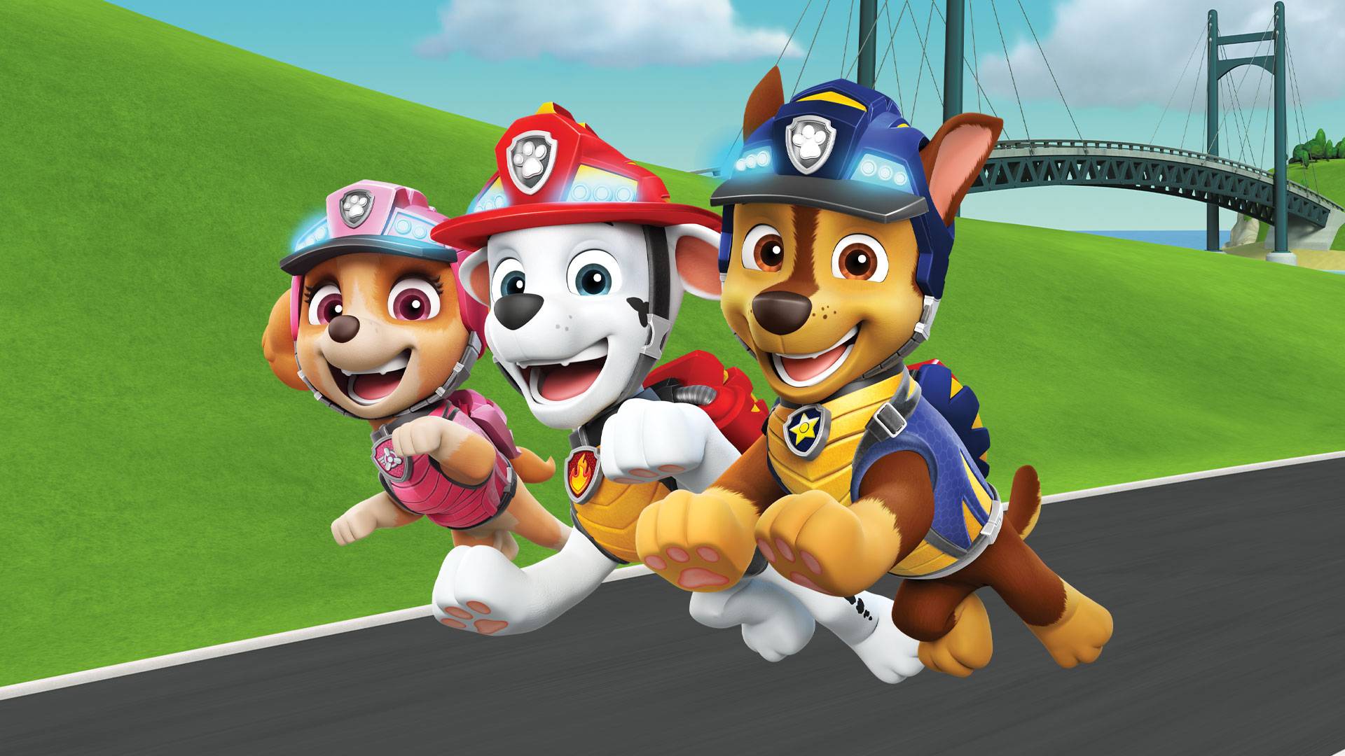 Paw Patrol S08 B22