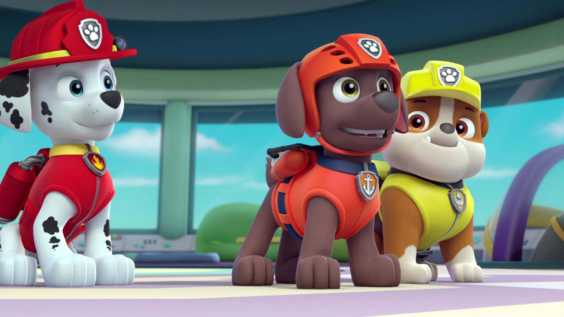 Paw Patrol S09 B17